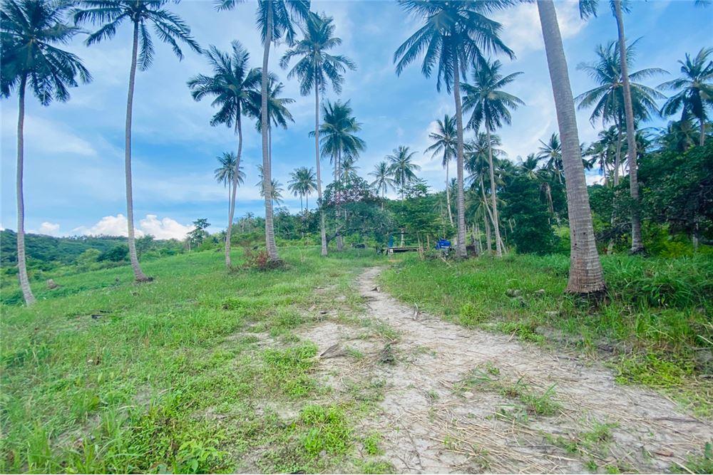 for sale in Surat Thani for rent house land